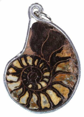 Moroccan Ammonite Fossil Pendant #58356